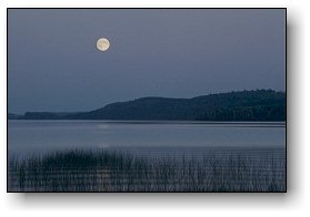 Rising Moon in Canoe Country